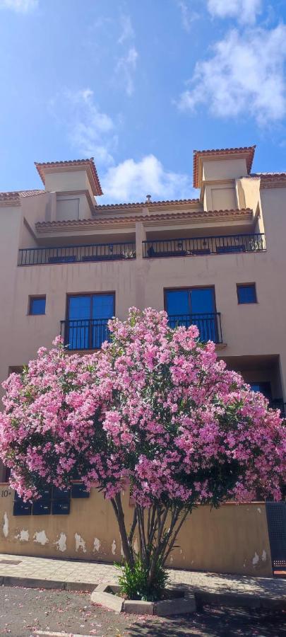 Casa Banana Sunset Apartment Santa Cruz de Tenerife Bagian luar foto